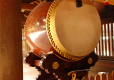 Muza chan's Japan Photo Gallery